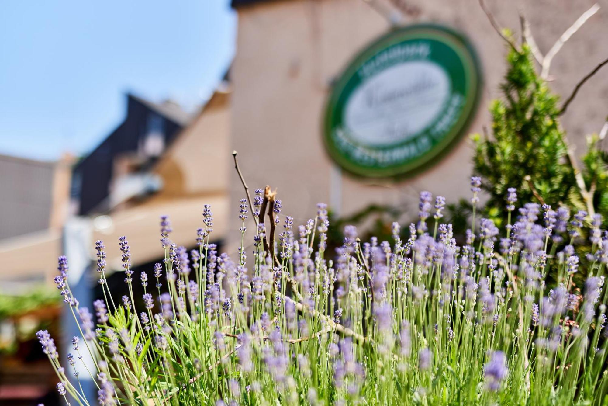 Hotelpark Der Westerwald Treff Oberlahr Dış mekan fotoğraf